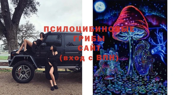 мет Абаза