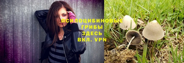мет Абаза