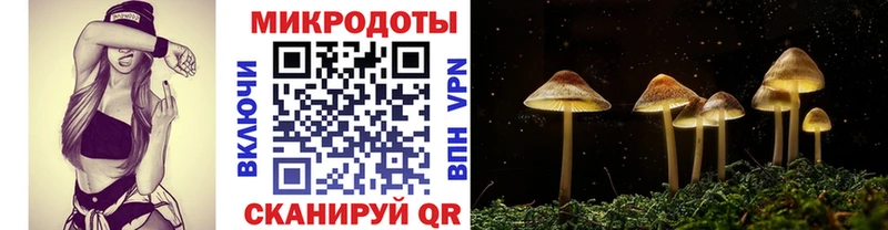 Галлюциногенные грибы мухоморы  сколько стоит  hydra зеркало  Кирс 